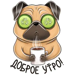 Мопс sticker 4