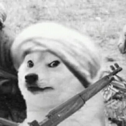 Dogesh sticker 2