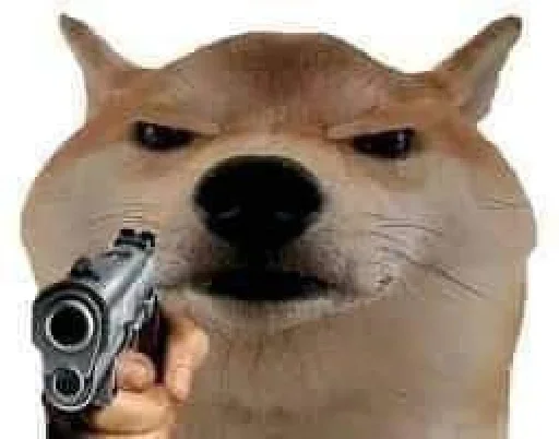 Dogesh sticker 4