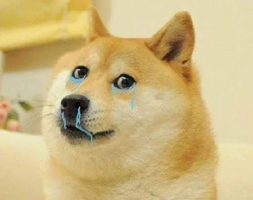 Dogesh sticker 5