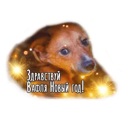 Dogs by @dognfox sticker 11