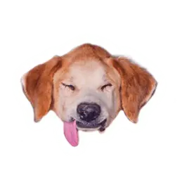 Dogs by @dognfox sticker 12