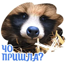 Dogs by @dognfox sticker 3