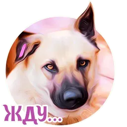 Dogs by @dognfox sticker 5