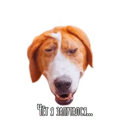 Dogs by @dognfox sticker 7