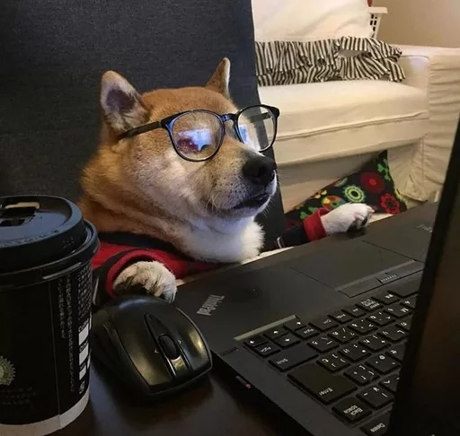 doggos sticker 6