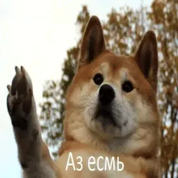 Собака - друг человека sticker 10