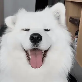 Собаки sticker 5