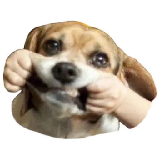 Собаки sticker 45