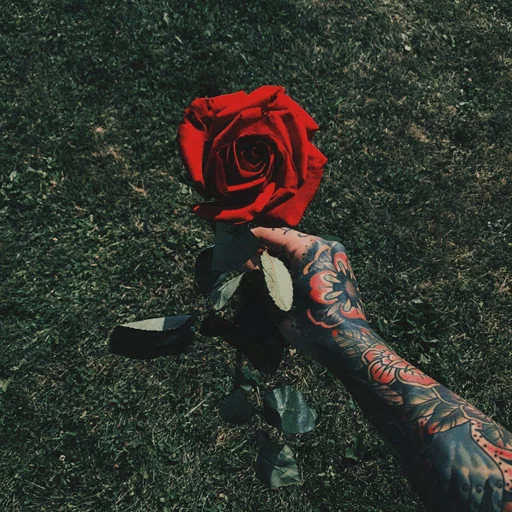 [ @doctor_rashid ] ▇« @CAFTAR »▇ sticker 4