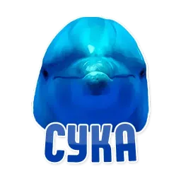 Дельфин под спайсом sticker 5
