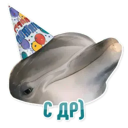 Дельфин под спайсом sticker 6