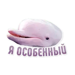 Дельфин под спайсом sticker 7