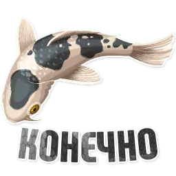 Дельфин под спайсом sticker 9