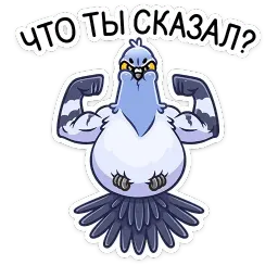 Голубь Михаил sticker 6