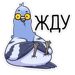 Голубь Михаил sticker 8