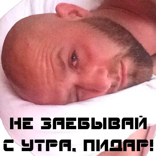 duhota sticker 27