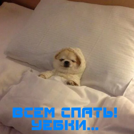 duhota sticker 38