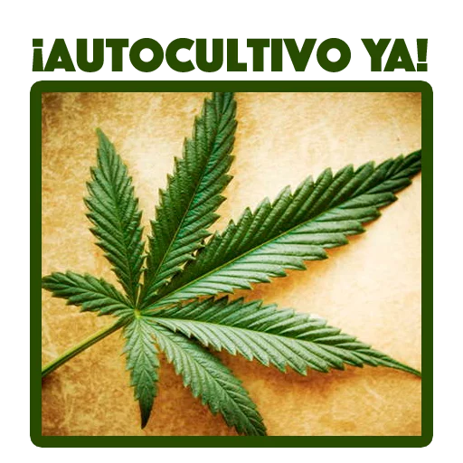 ecofeminita sticker 11