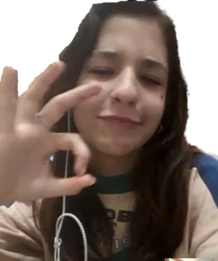ameri e lupi sticker 8