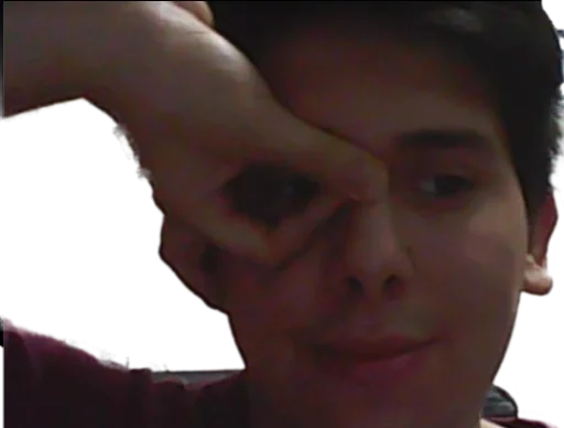 ameri e lupi sticker 9