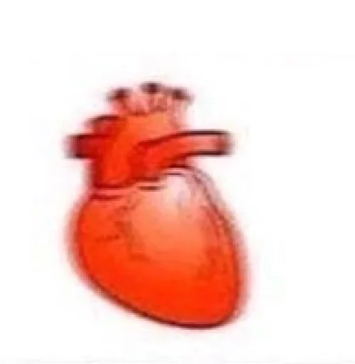 Eradol's one Dank Meme Pack Ni🅱️🅱️a sticker 11