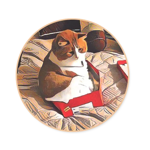 e-VA sticker 3