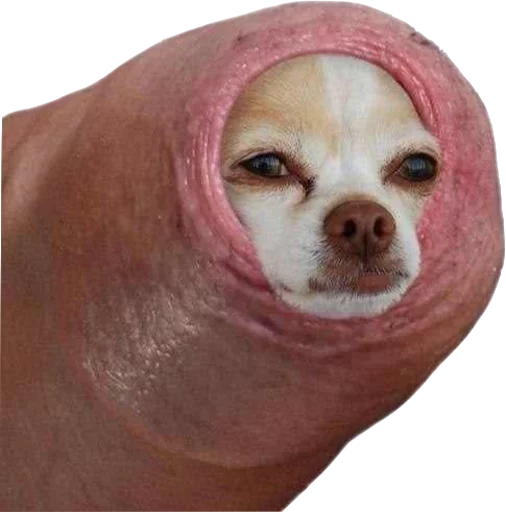всештопохоженахуйсмешно sticker 12