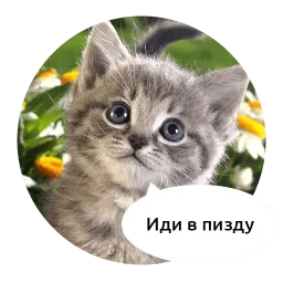 Злые зверята by @DGStickers Telegram sticker pack