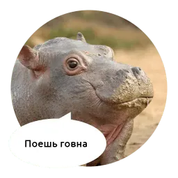 Злые зверята by @DGStickers sticker 3