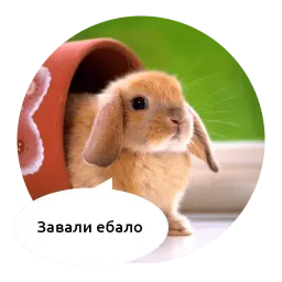 Злые зверята by @DGStickers sticker 4