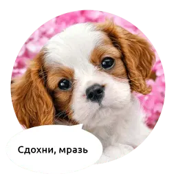 Злые зверята by @DGStickers sticker 5