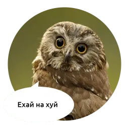 Злые зверята by @DGStickers sticker 7