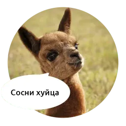 Злые зверята by @DGStickers sticker 8