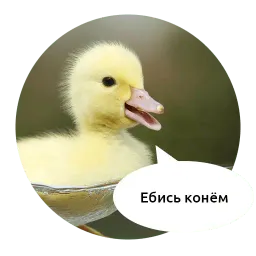 Злые зверята by @DGStickers sticker 9
