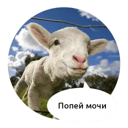 Злые зверята by @DGStickers sticker 10