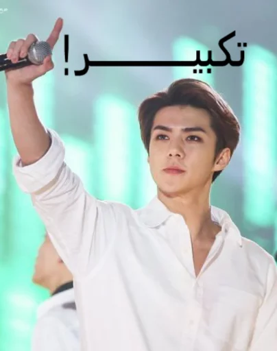 ExoSky sticker 8