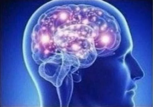 expanding brain sticker 2