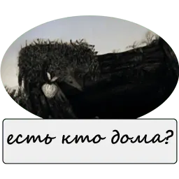 Ёжик в тумане sticker 5