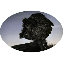 Ёжик в тумане sticker 10