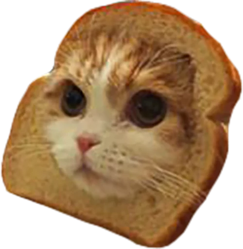 myCats sticker 3