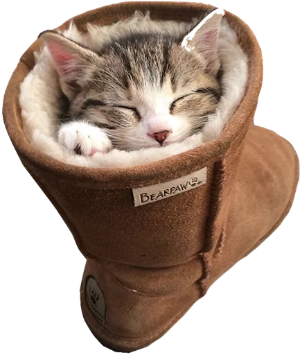 myCats sticker 5