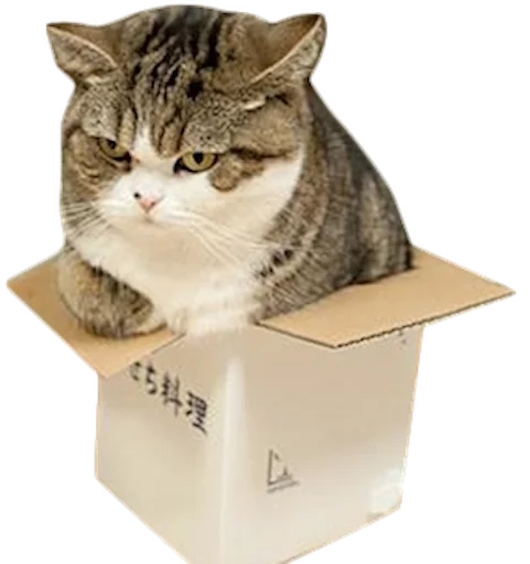 myCats sticker 8