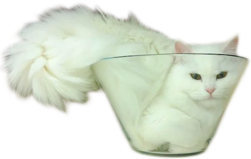 myCats sticker 10