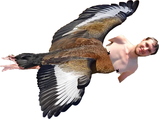 FabergeDucks sticker 3