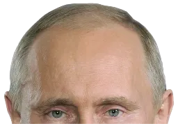 famous people @deputatdumy Telegram sticker pack