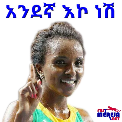 Fastmereja sticker 10