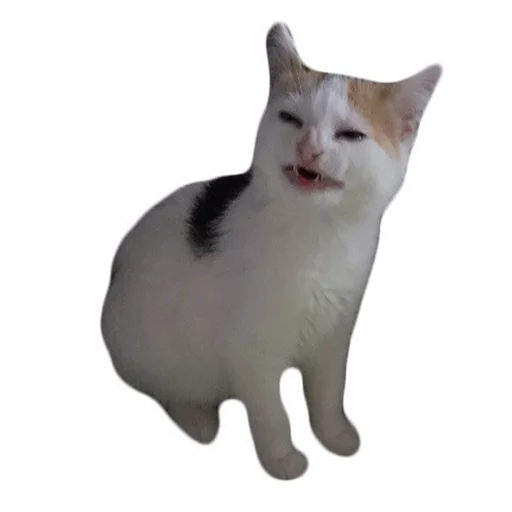 Fataler's Pack sticker 11