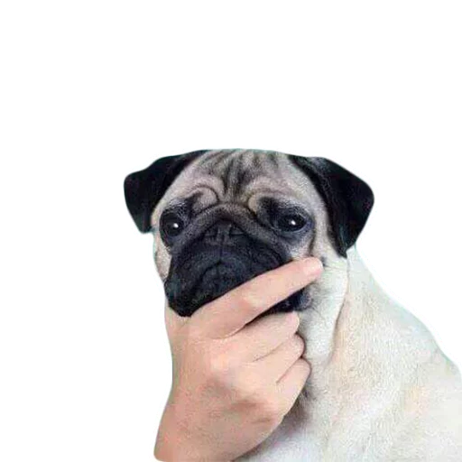 Fataler's Pack sticker 12