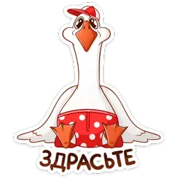 Федька в плавках Telegram sticker pack